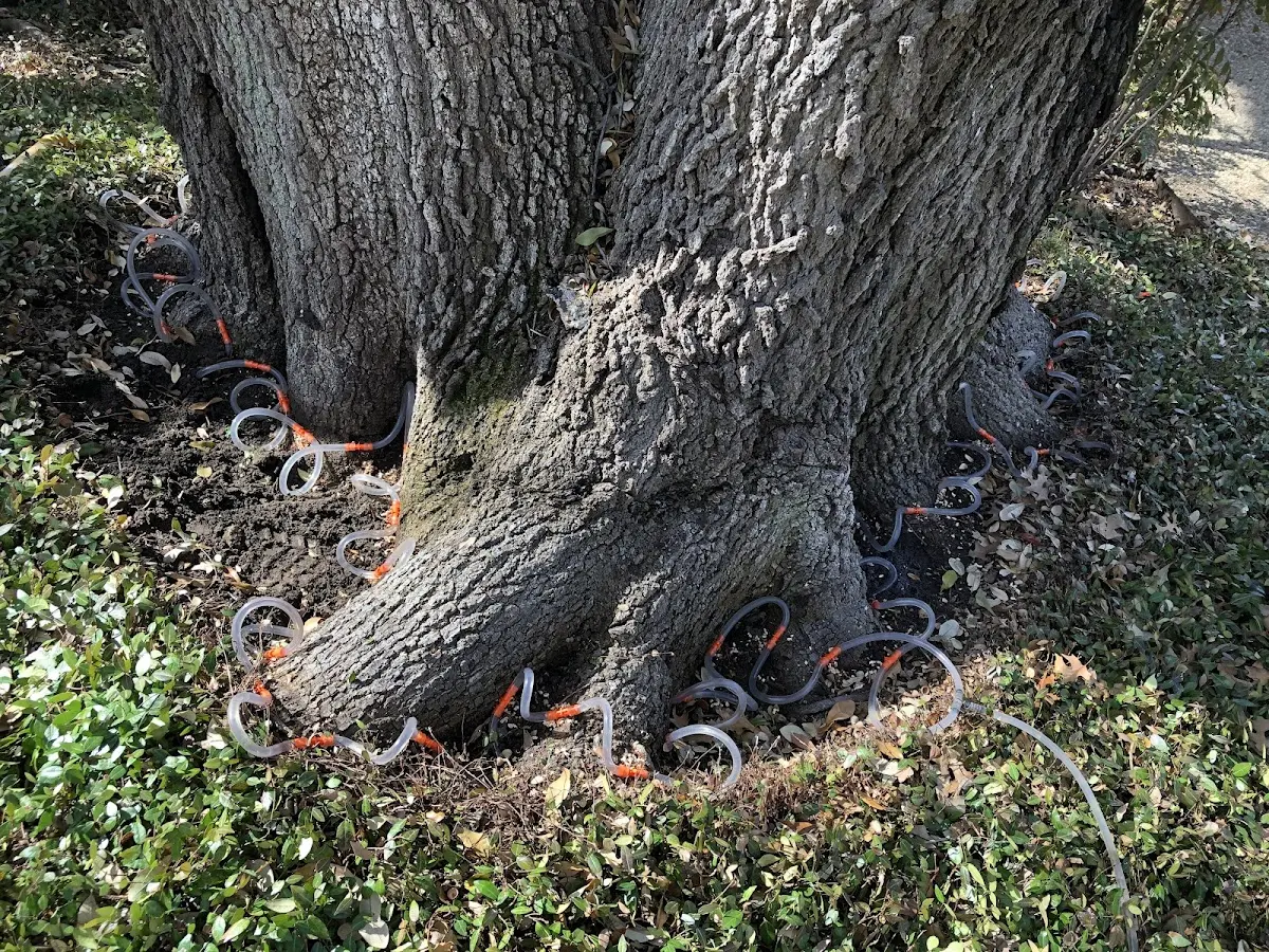 Detailed Shrub and Hedge Trimming job site in Amana