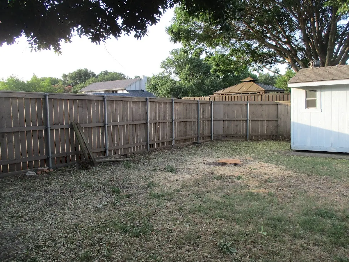 Cleared yard after professional tree removal in Amana